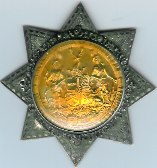 The 1885 Ancient Order of the Foresters jewel-0